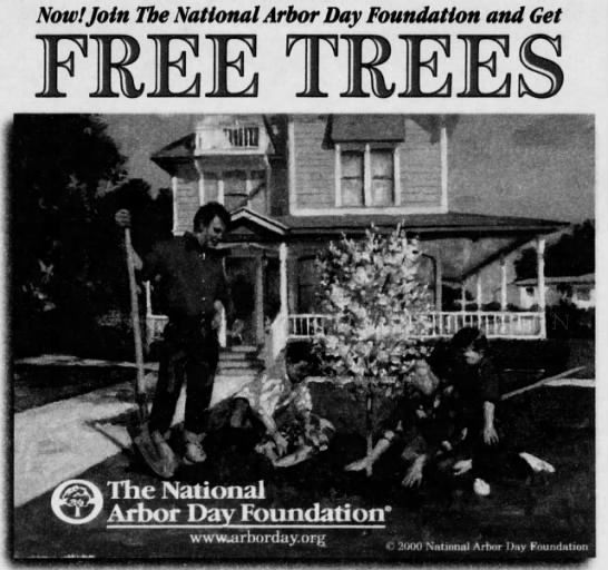Free Trees